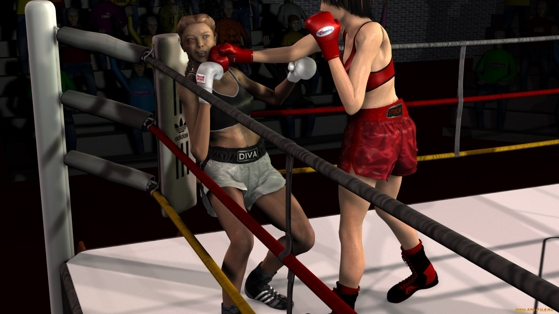 3д, графика, спорт, , sport, девушки, взгляд, фон, ринг, бокс