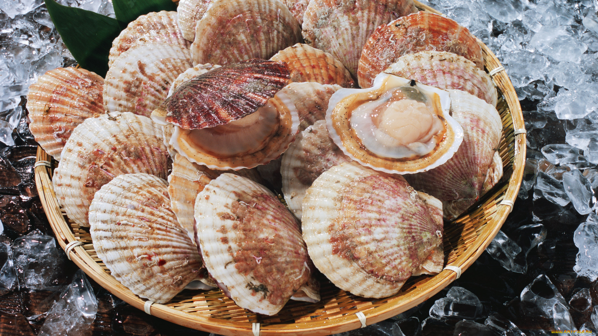 еда, рыба, , морепродукты, , суши, , роллы, устрицы