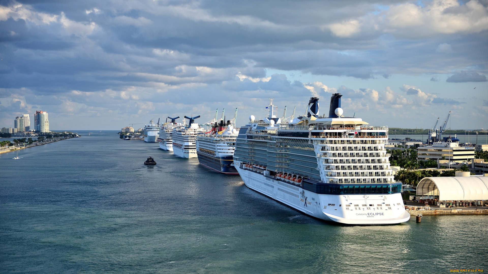 port, miami, корабли, лайнеры, лайнер, круиз