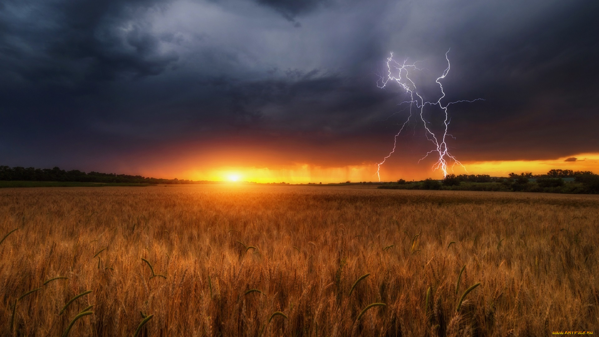 природа, молния, , гроза, поле, гром, солнечный, закат, алексей, дранговский