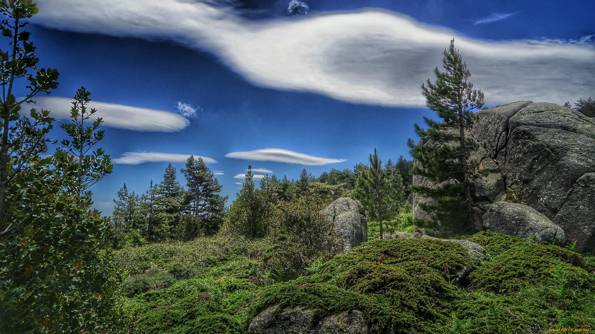 природа, пейзажи, простор