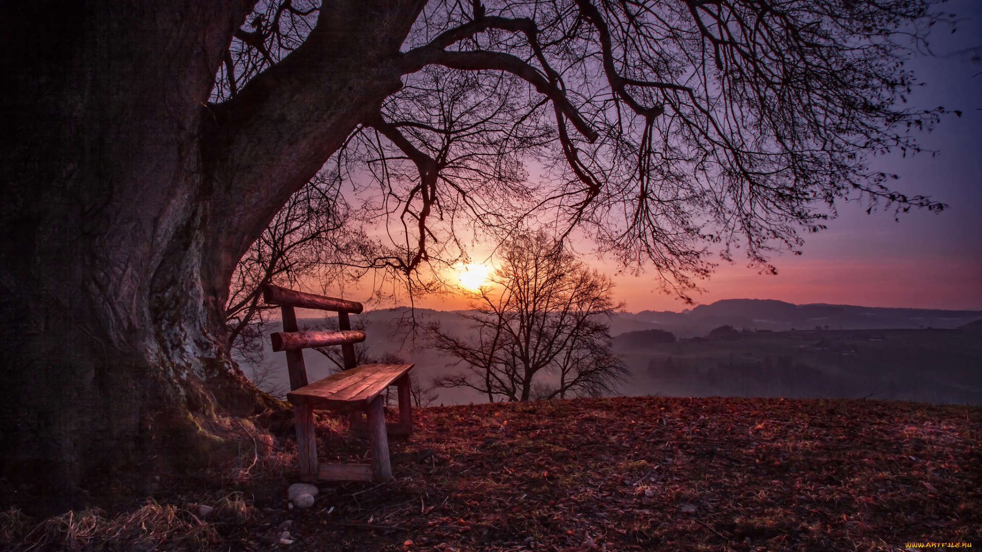 природа, пейзажи, рассвет