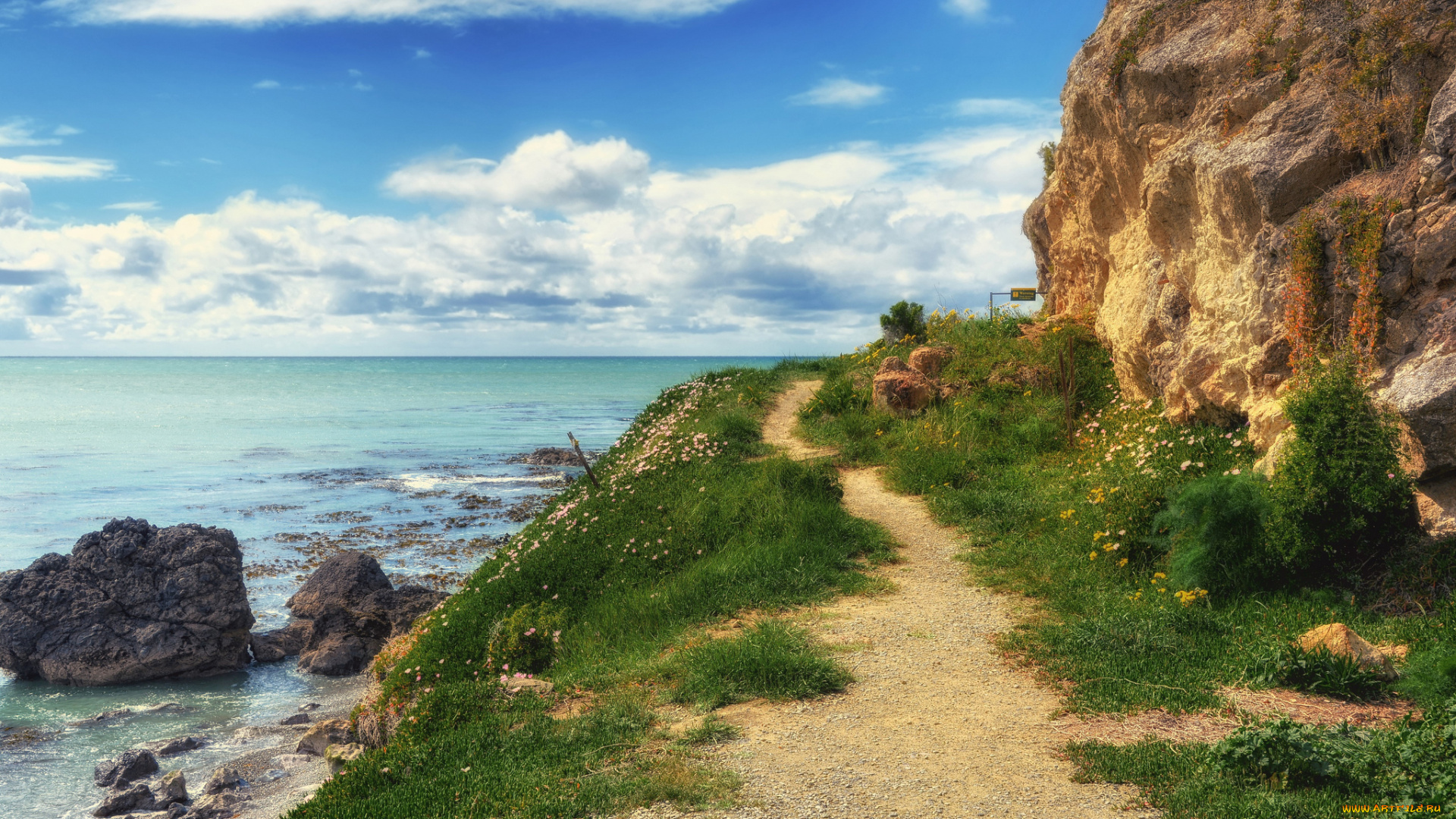 природа, побережье, лес, река