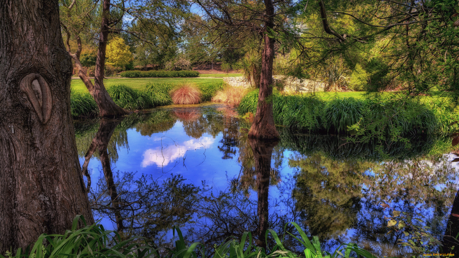 природа, реки, озера, лес, река