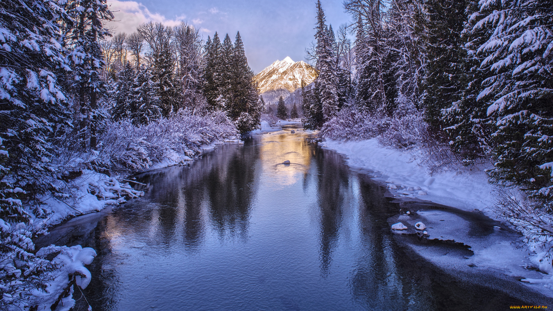 природа, реки, озера, лес, река