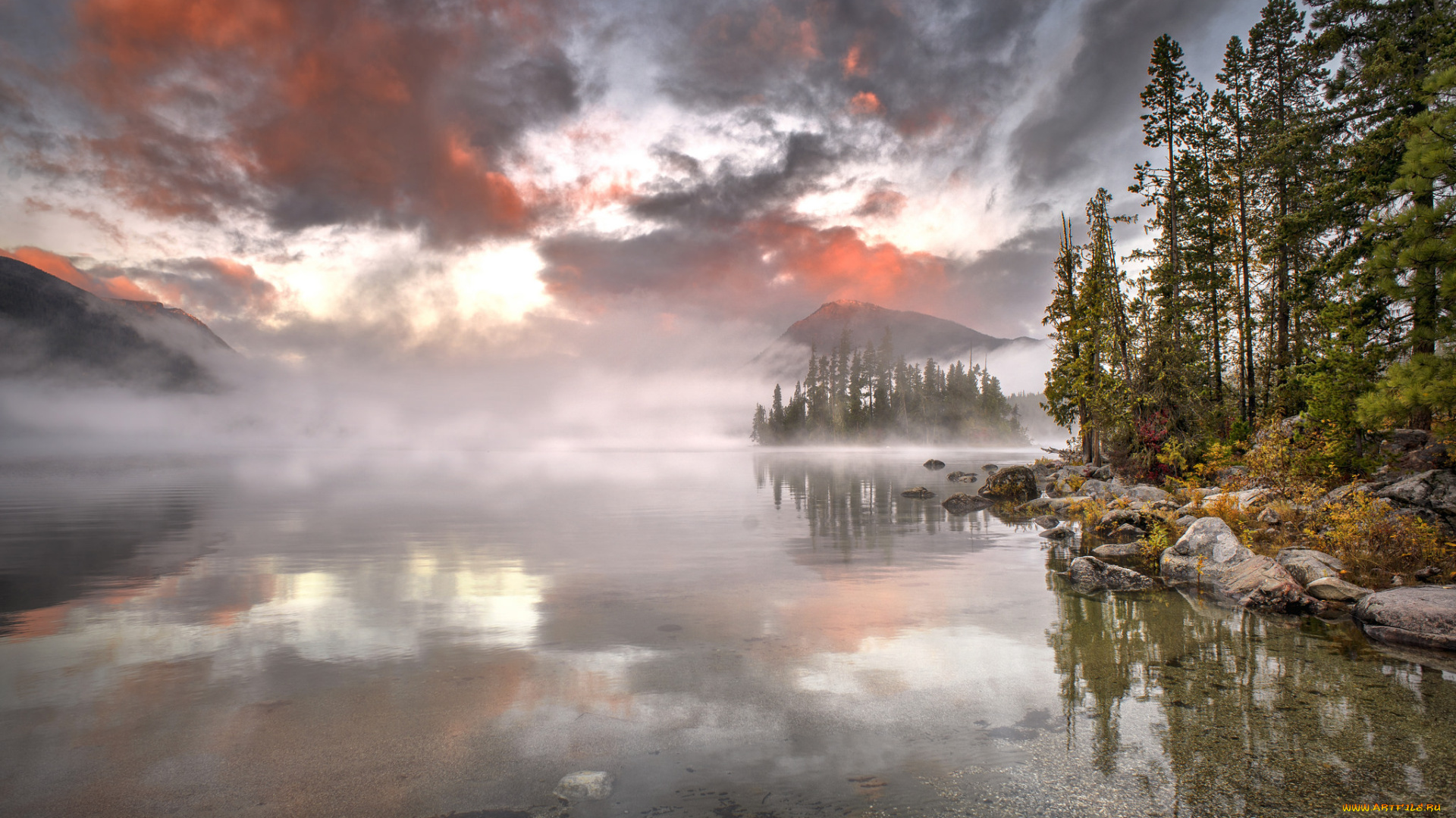 природа, реки, озера, лес, река