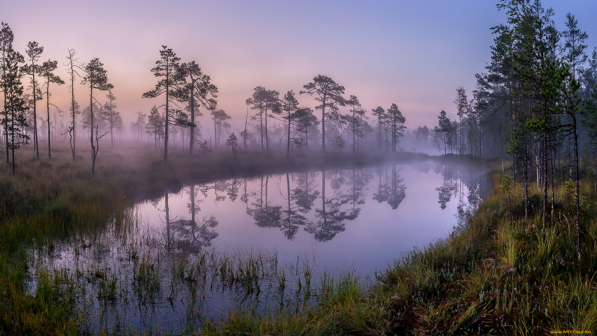 природа, реки, озера, река, лес