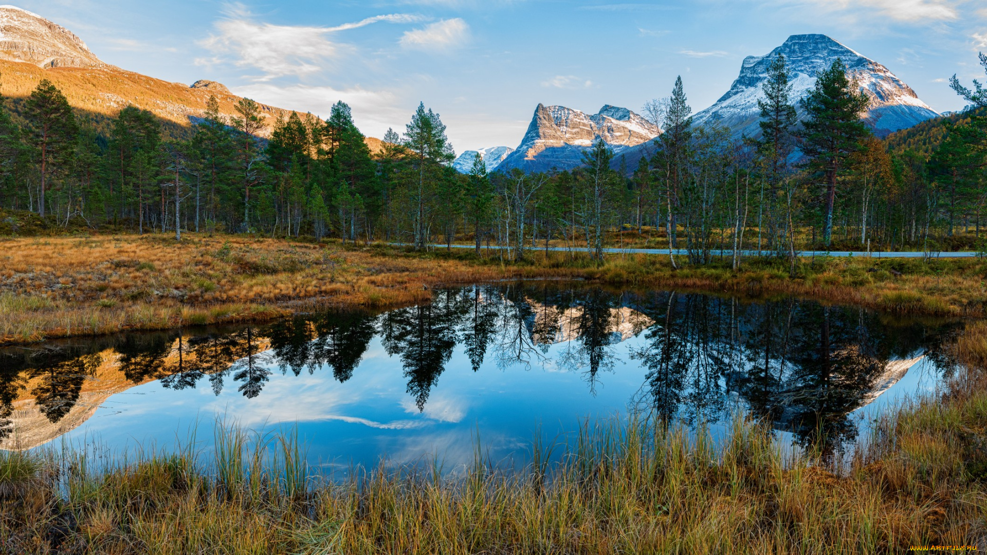 природа, реки, озера, река, лес