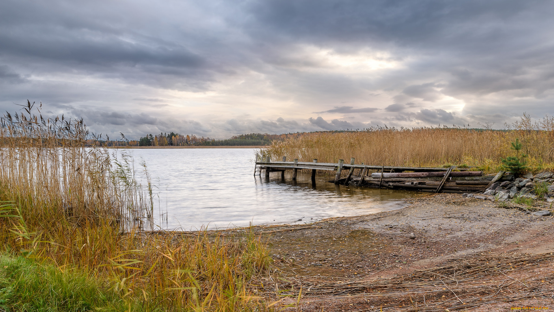 природа, реки, озера, река, лес