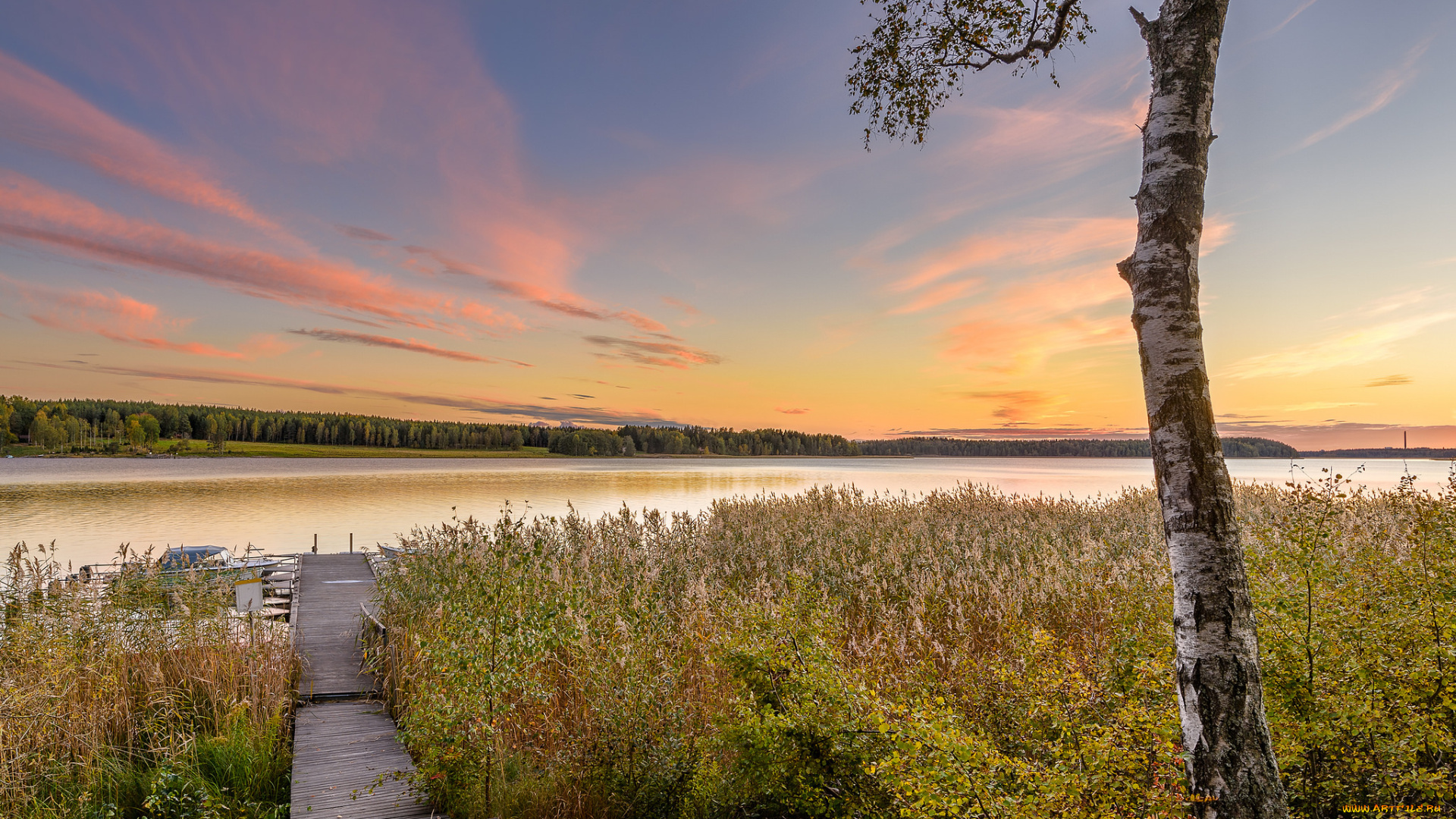 природа, реки, озера, река, лес