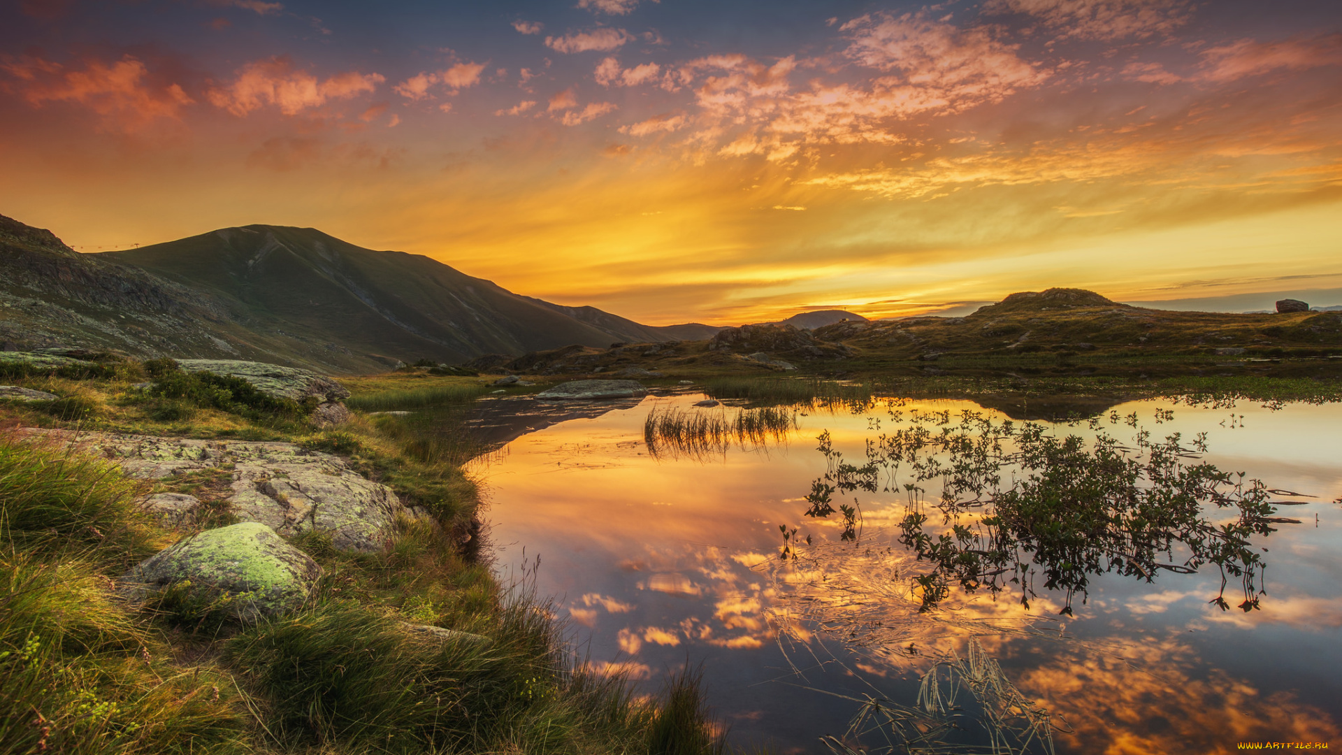 природа, реки, озера, река, лес