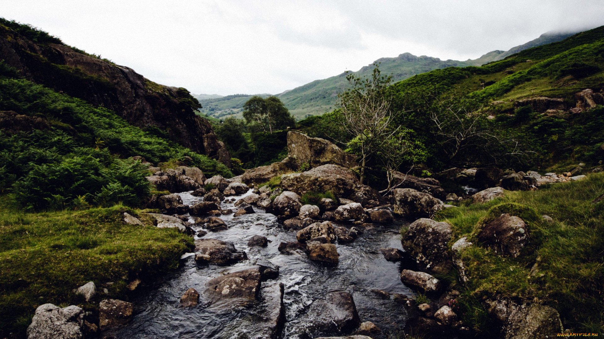 природа, реки, озера, ручей, камни