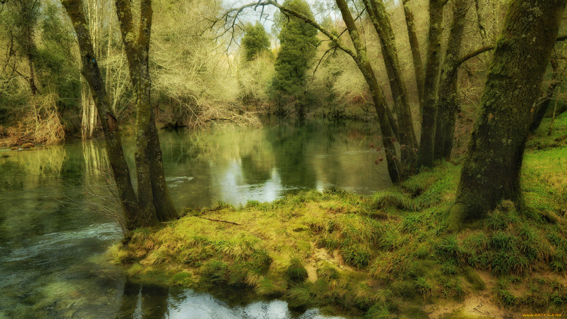природа, реки, озера, сальнес, галисия, испания, лес, деревья