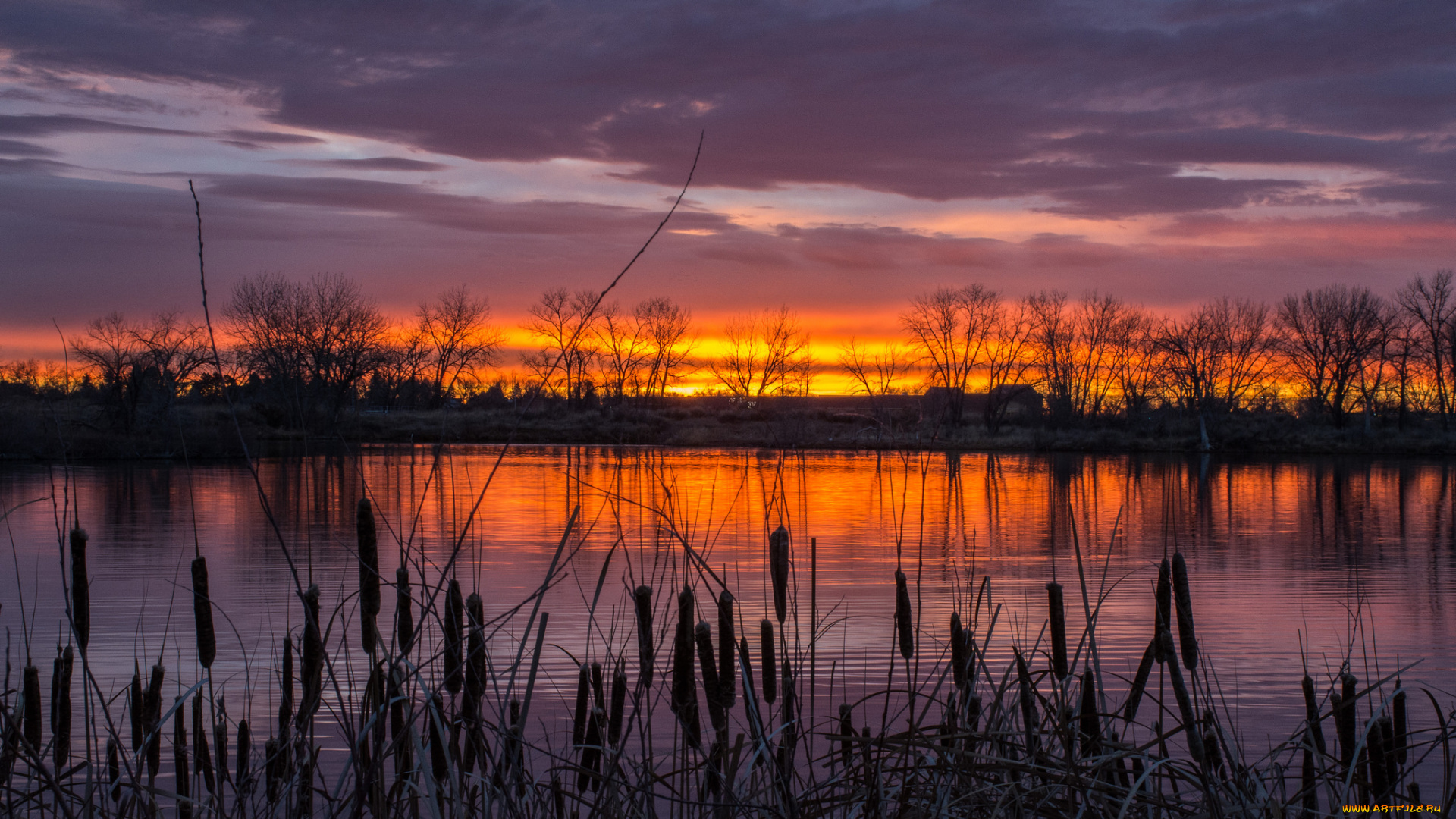 природа, восходы, закаты, рассвет