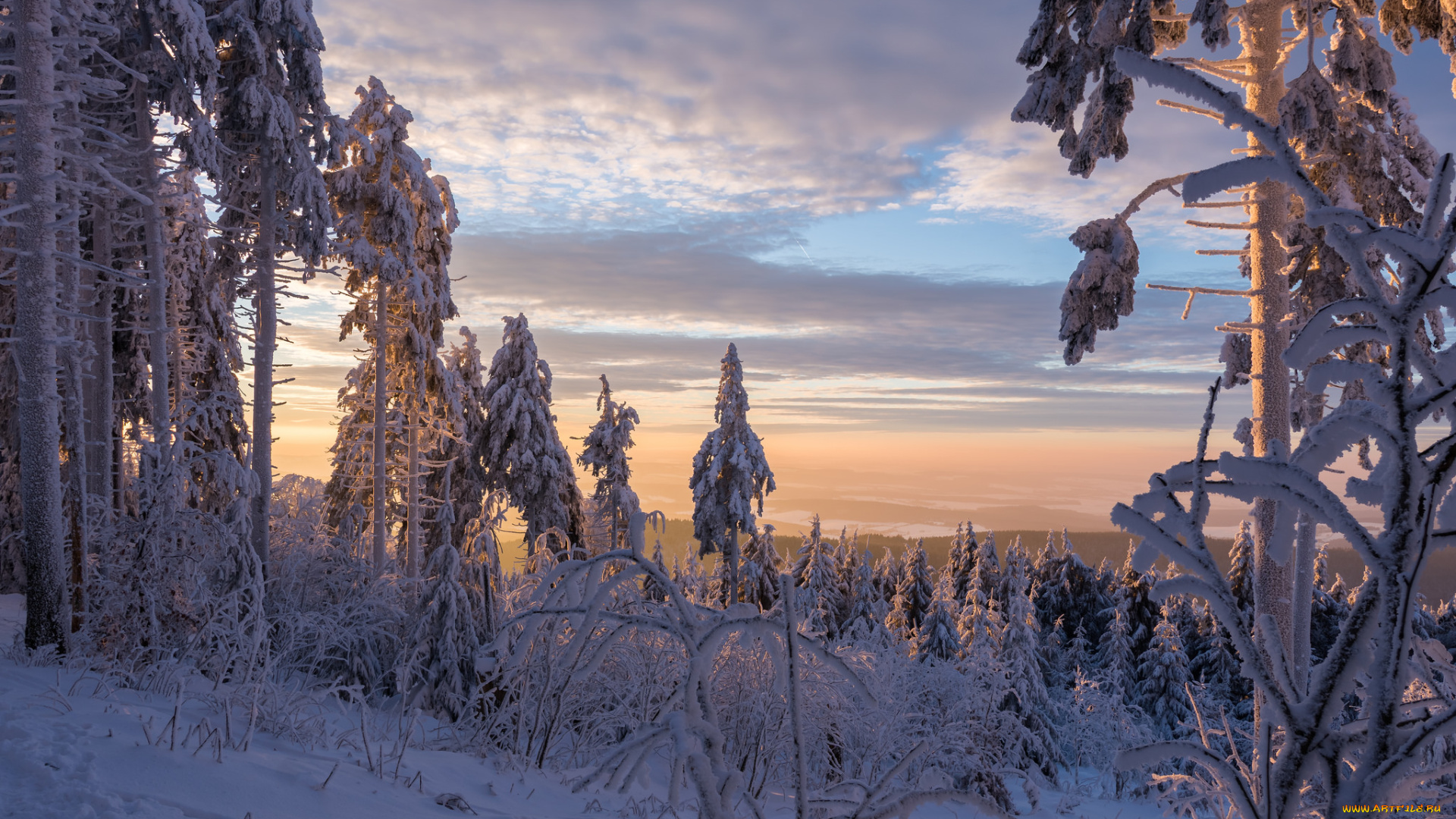 природа, зима, снег