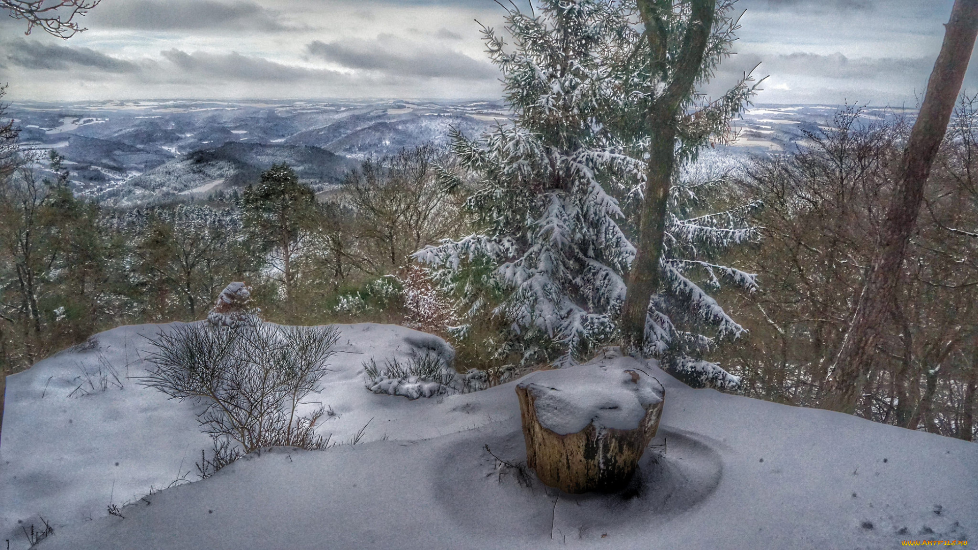 природа, зима, снег