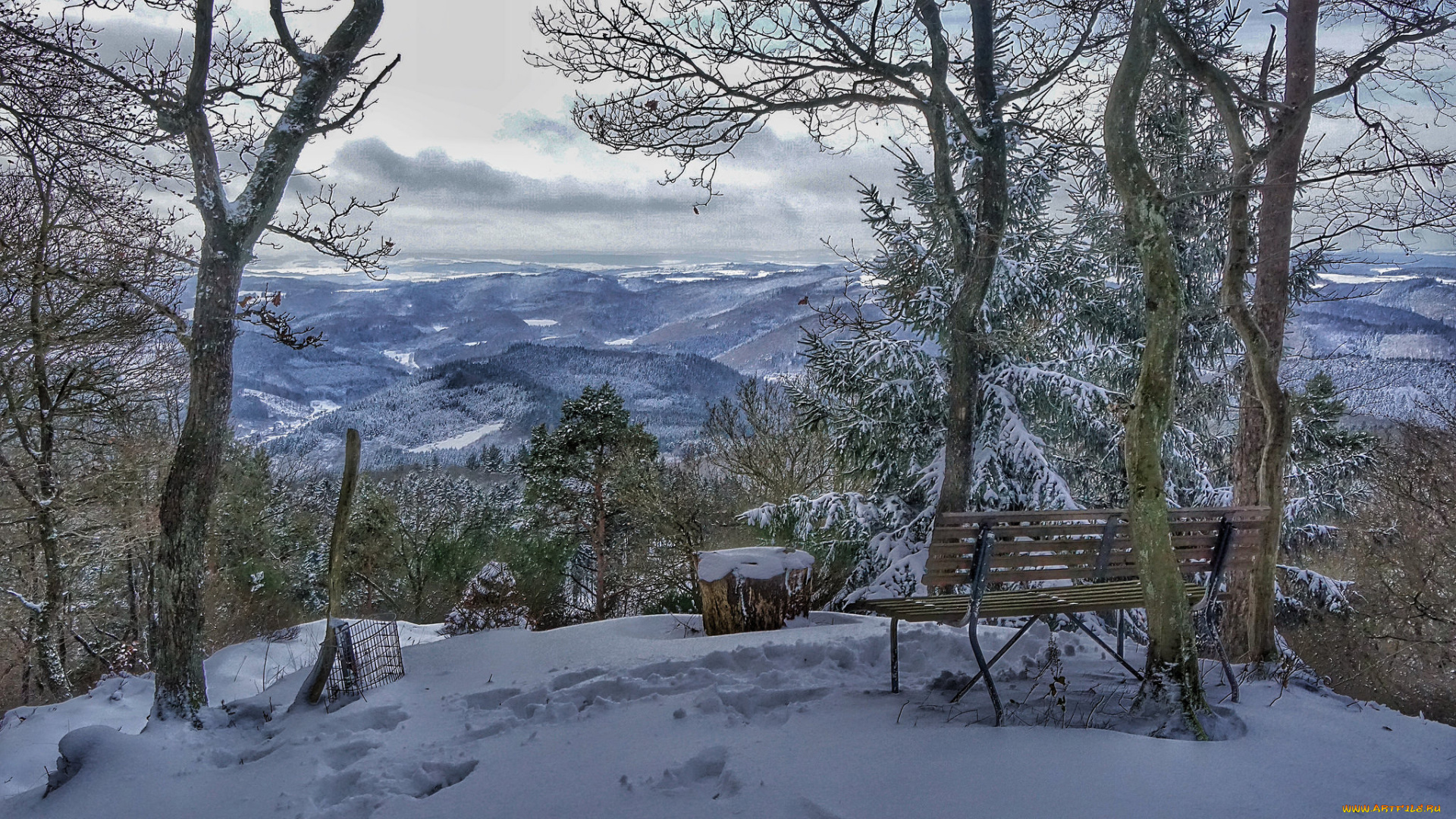 природа, зима, снег