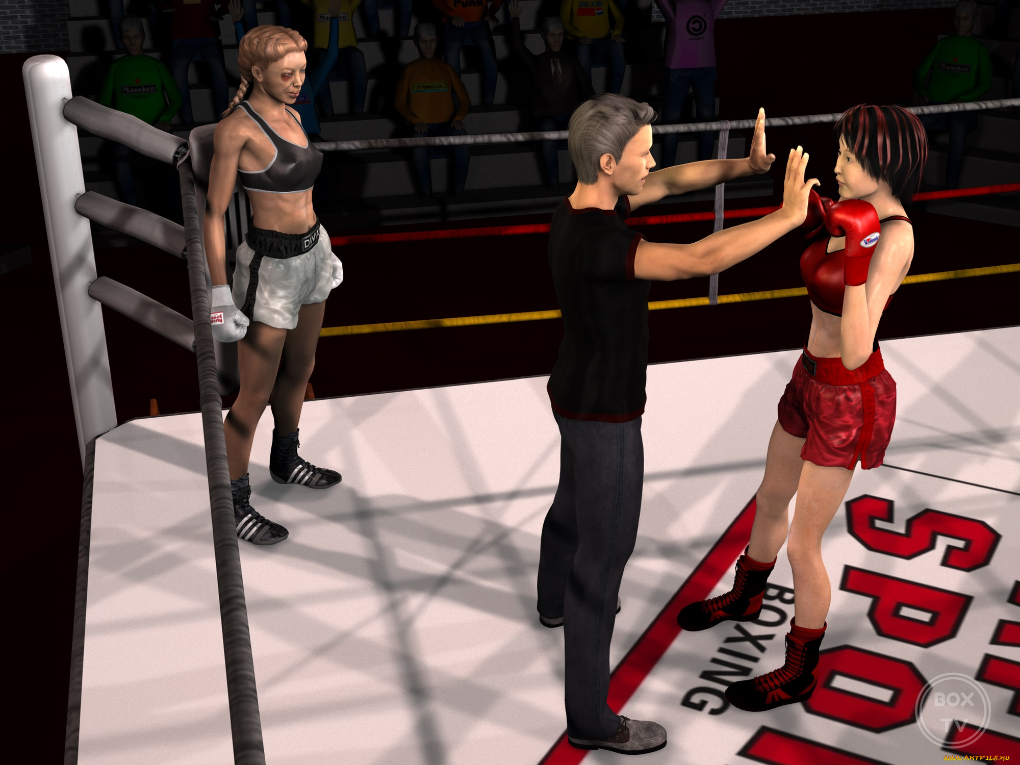 3д, графика, спорт, , sport, девушки, взгляд, фон, ринг, бокс