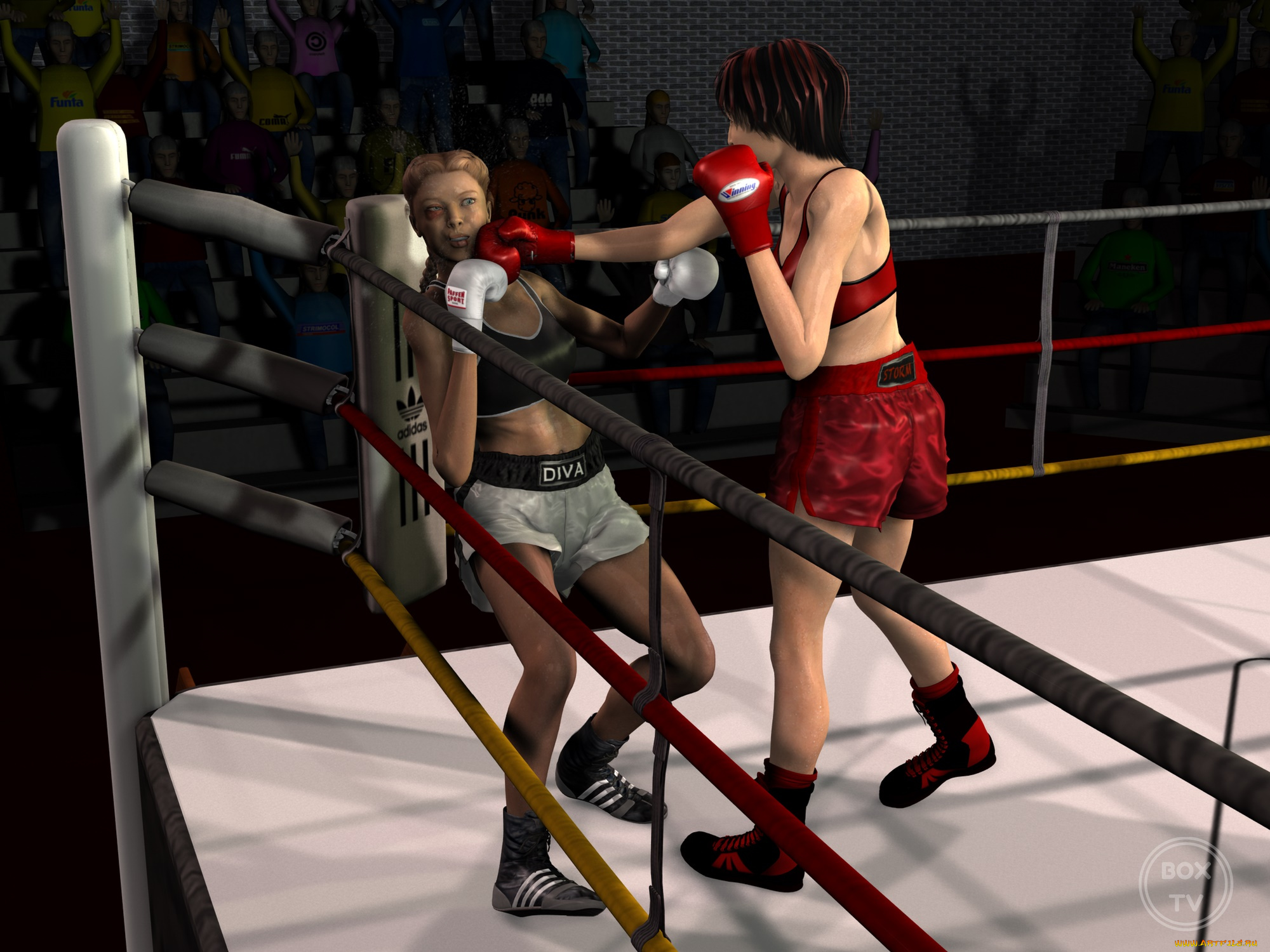 3д, графика, спорт, , sport, девушки, взгляд, фон, ринг, бокс