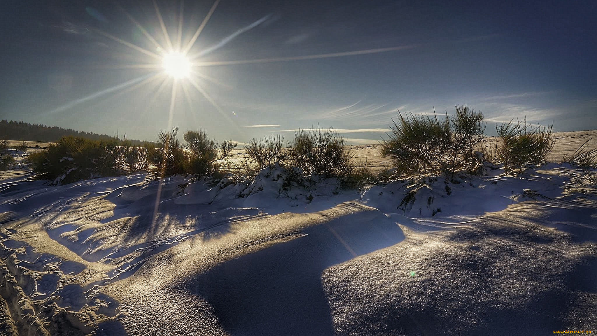 природа, зима, снег