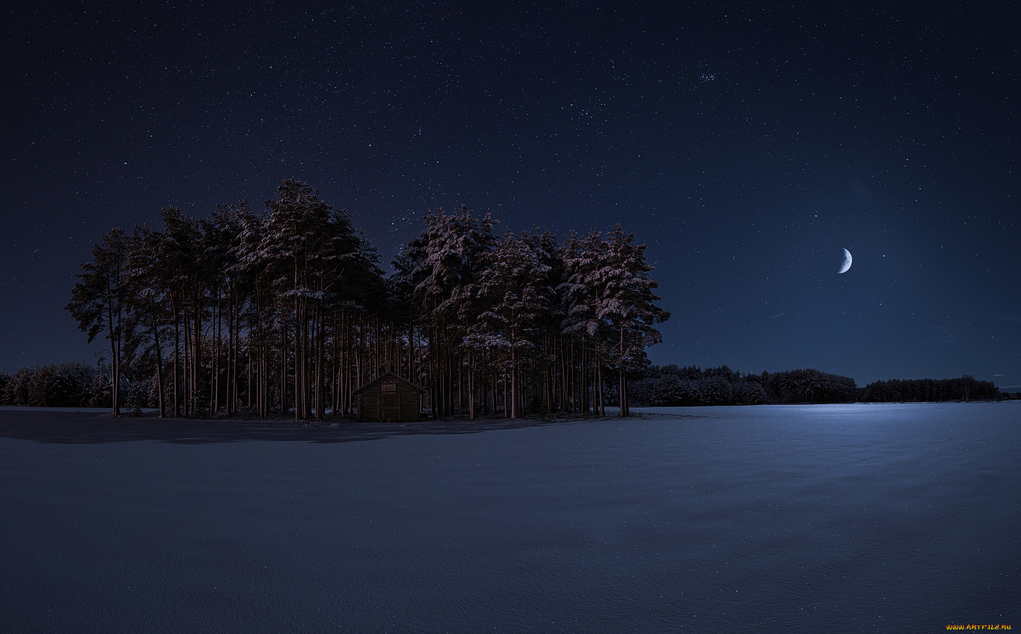 природа, зима, луна, лес, ночь, снег