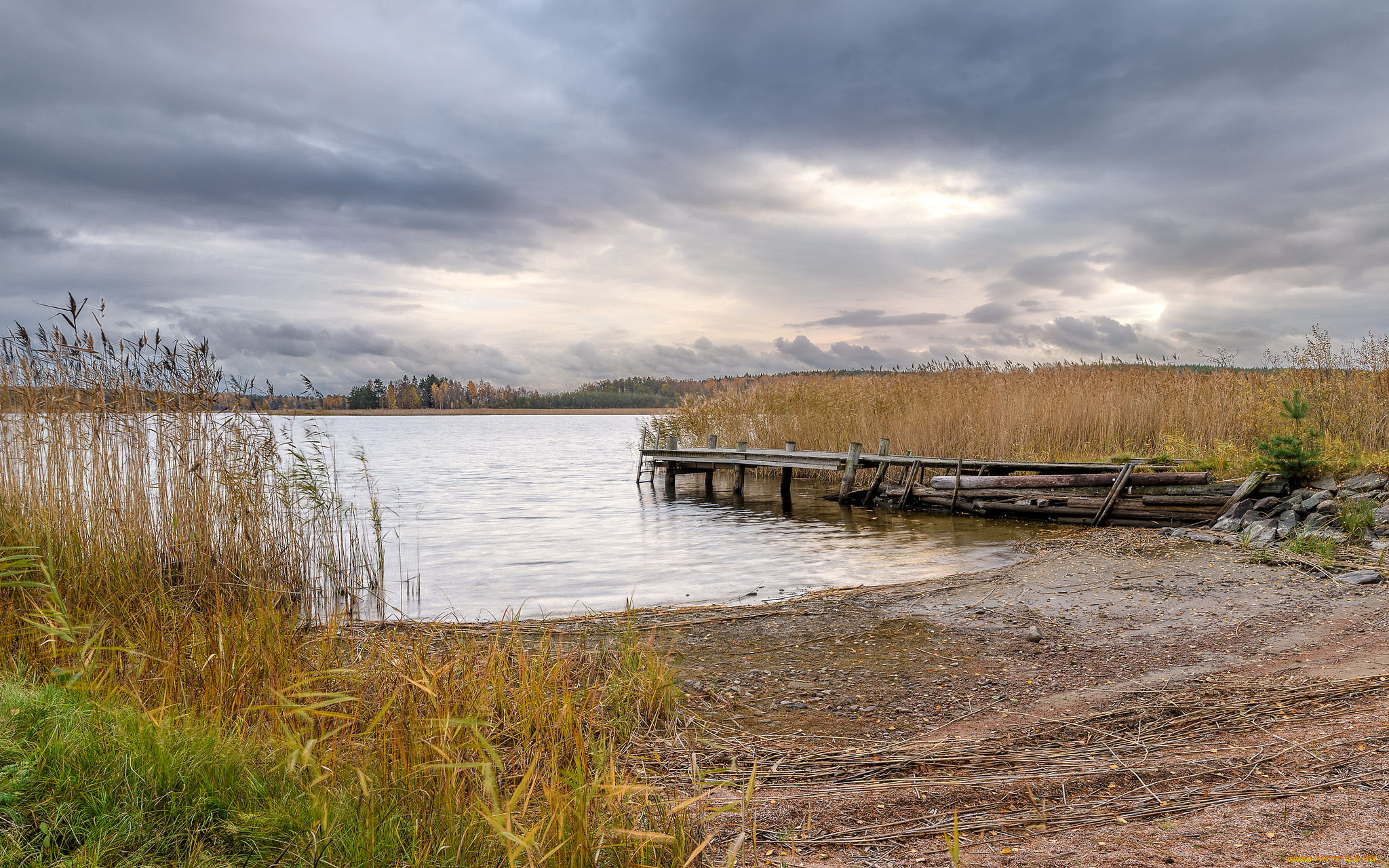 природа, реки, озера, река, лес