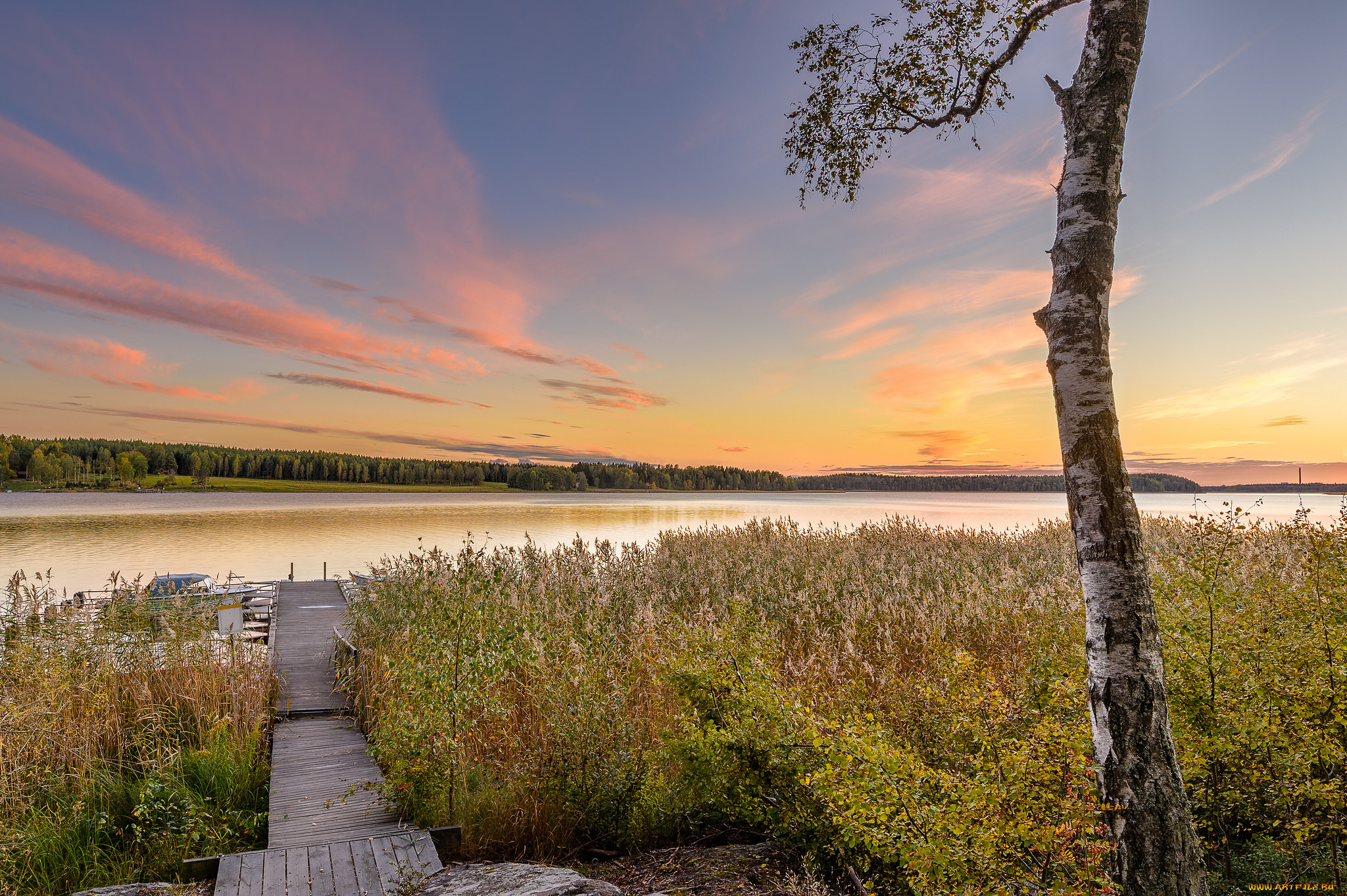 природа, реки, озера, река, лес