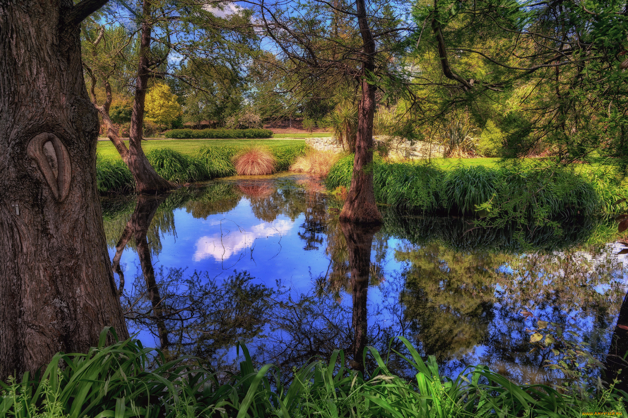 природа, реки, озера, лес, река