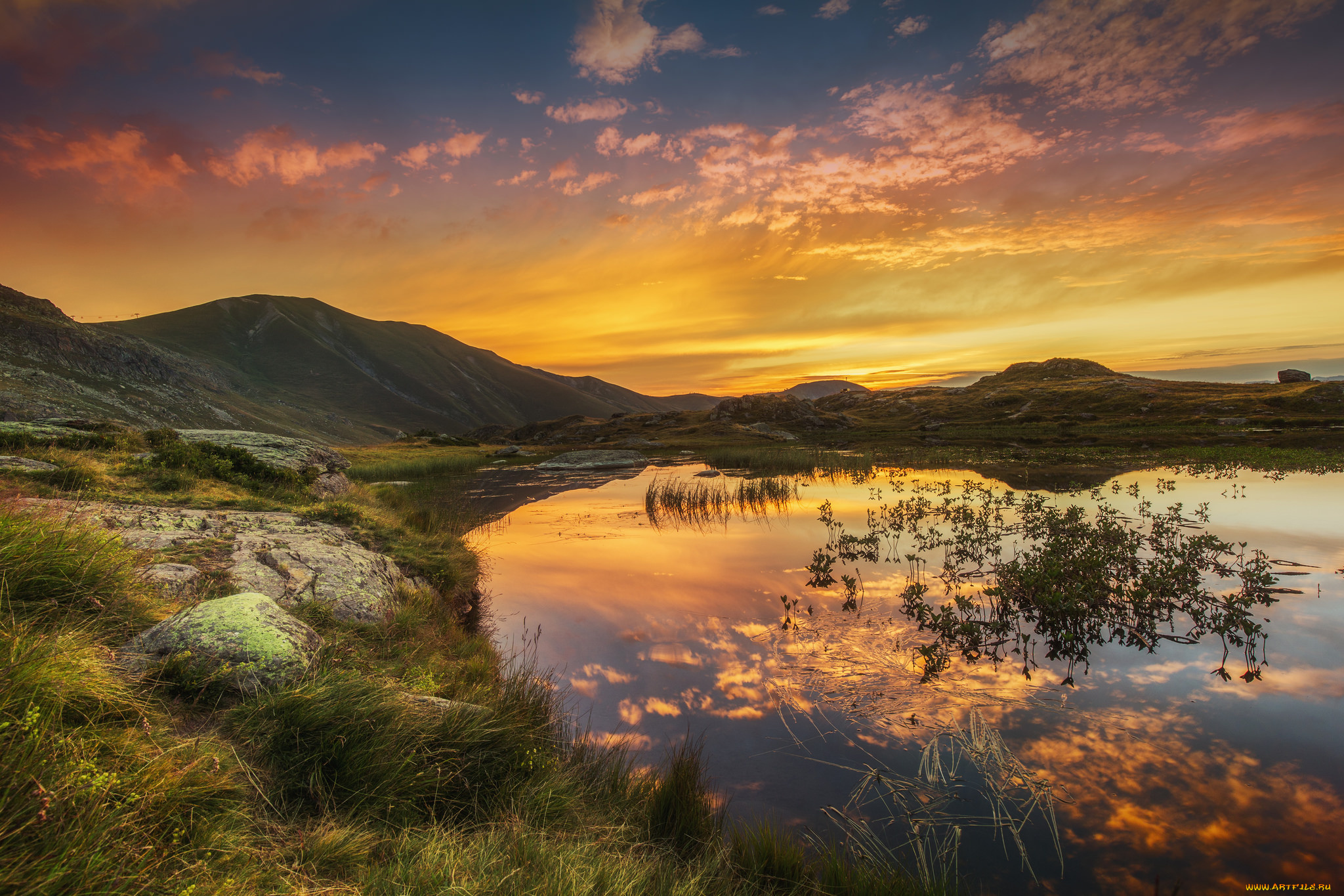 природа, реки, озера, река, лес