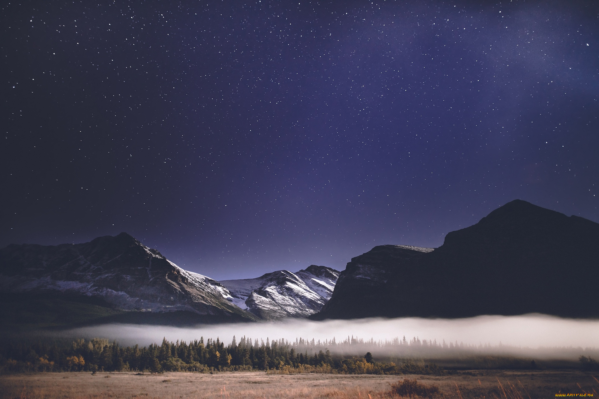 природа, горы, лес, звезды, небо, туман, ночь