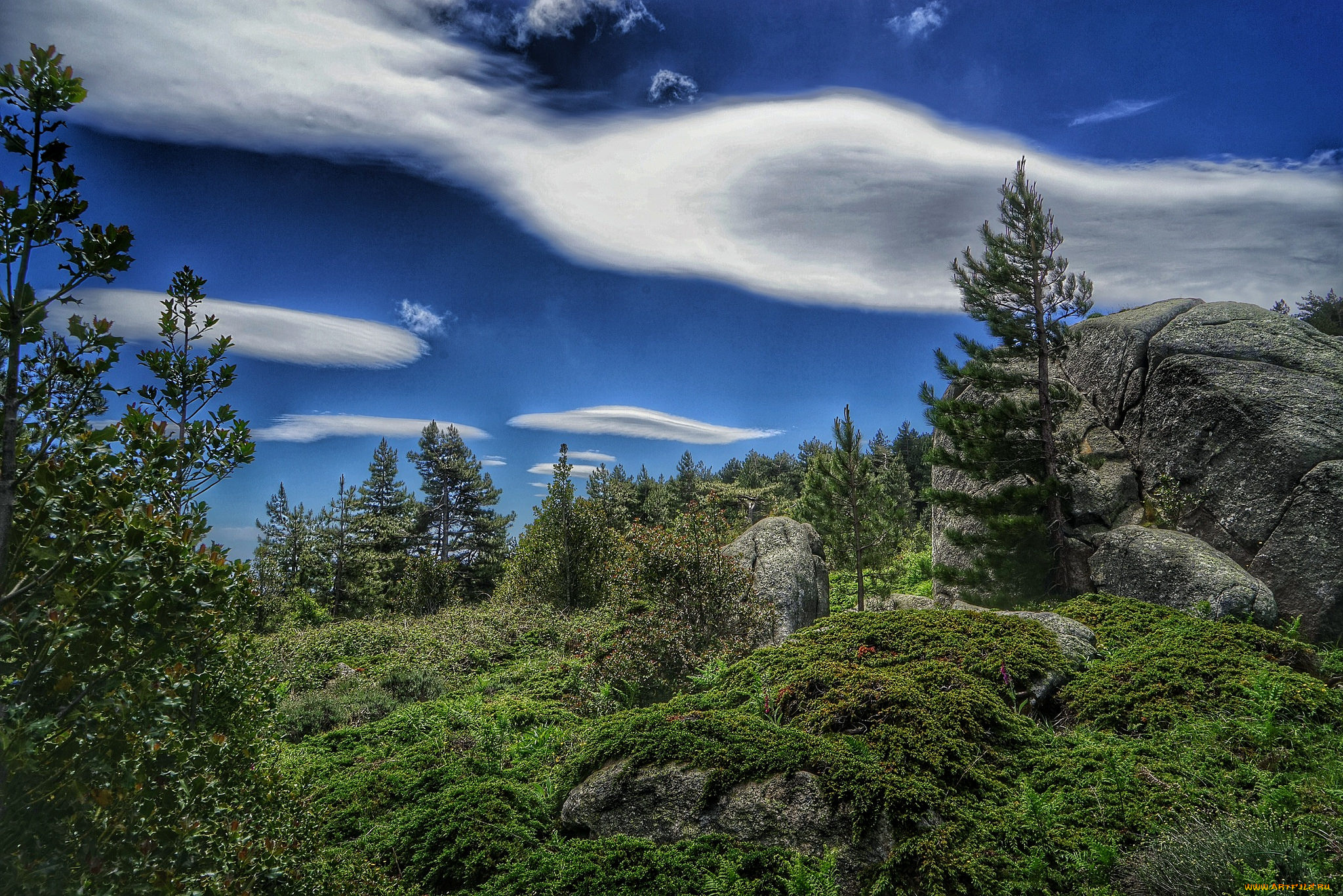 природа, пейзажи, простор