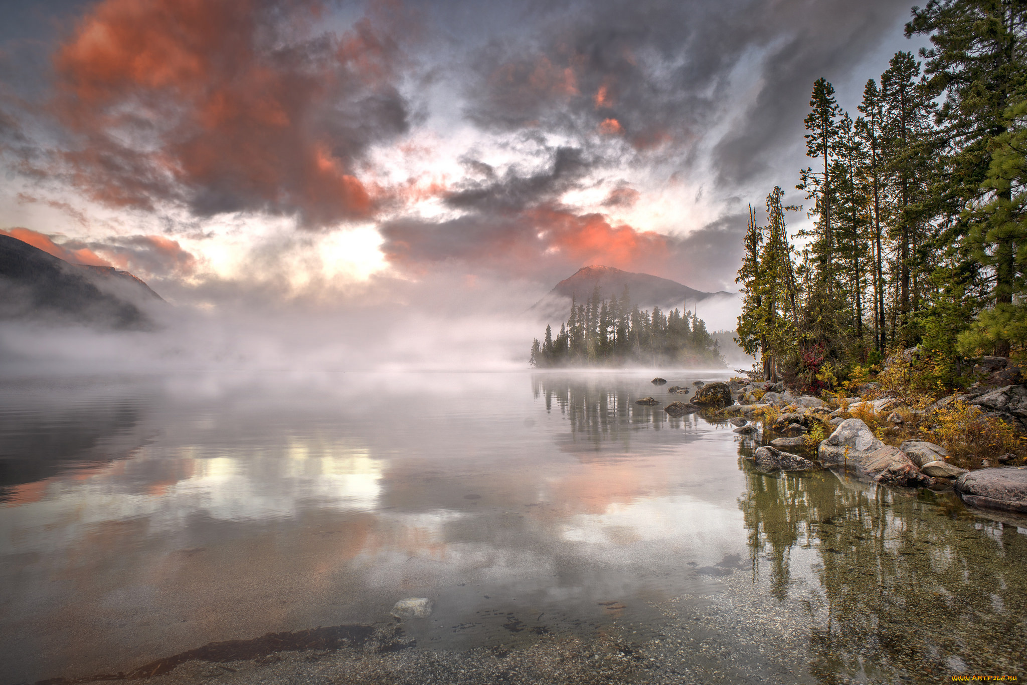 природа, реки, озера, лес, река