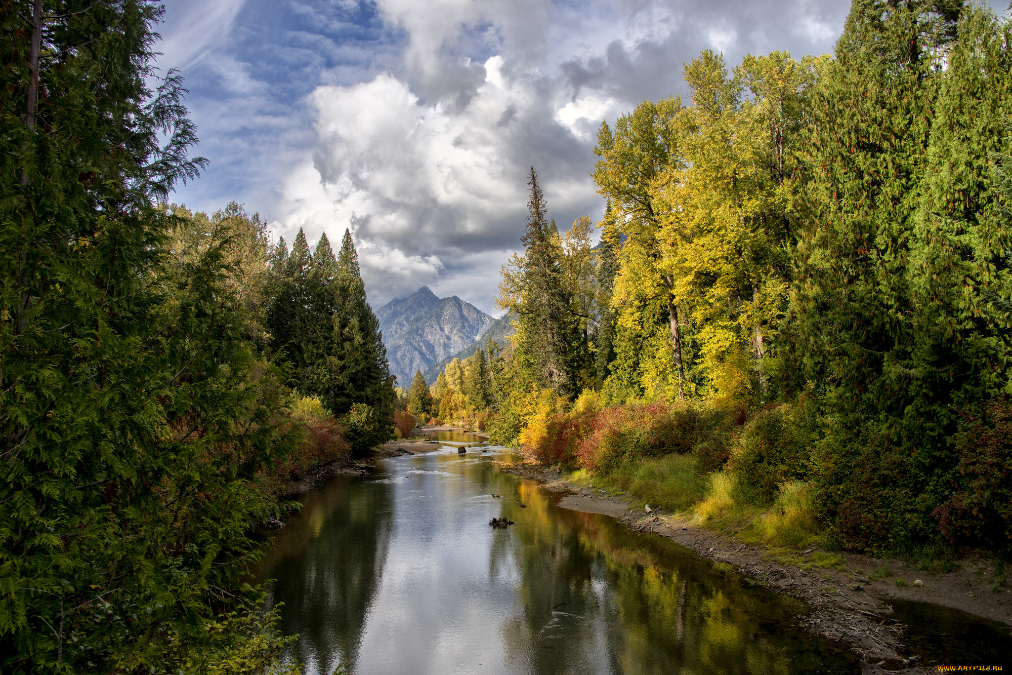 природа, реки, озера, река, лес