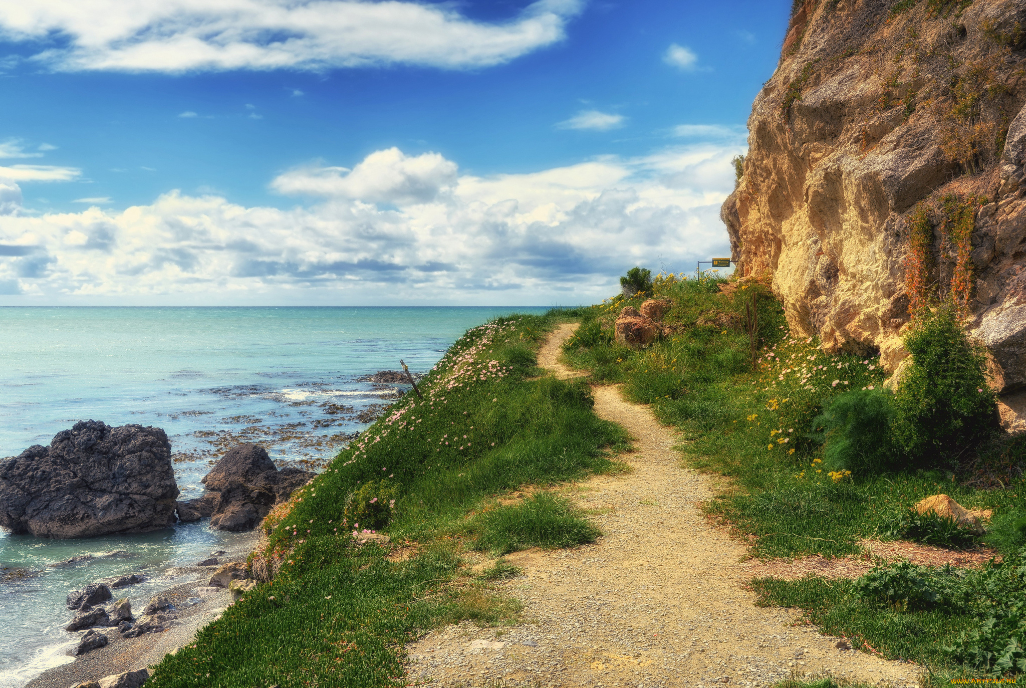 природа, побережье, лес, река