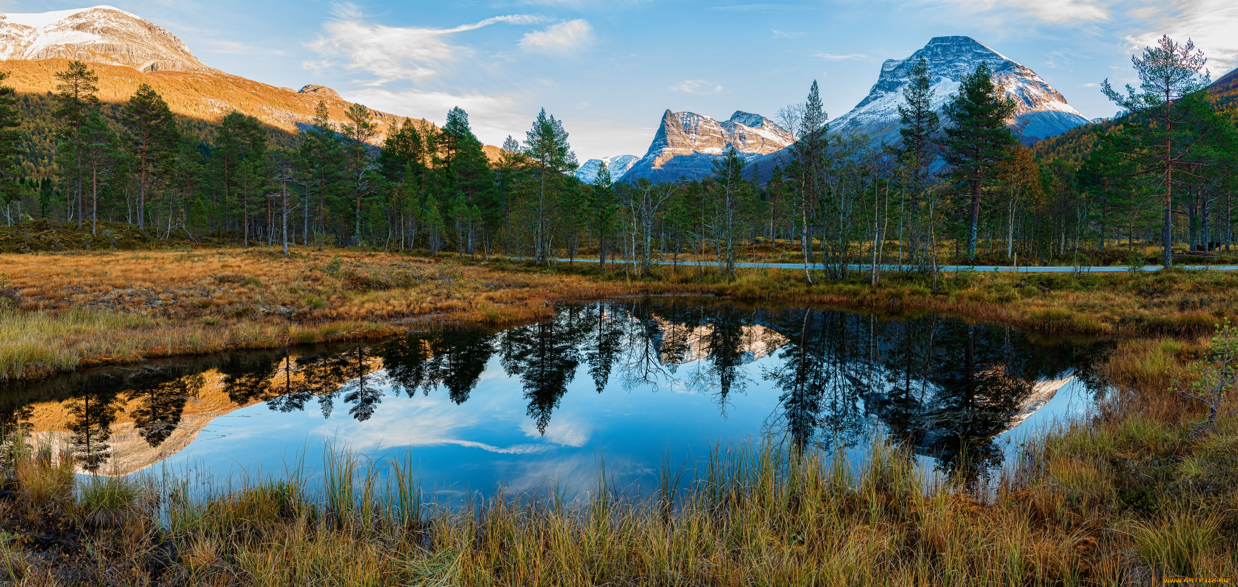 природа, реки, озера, река, лес