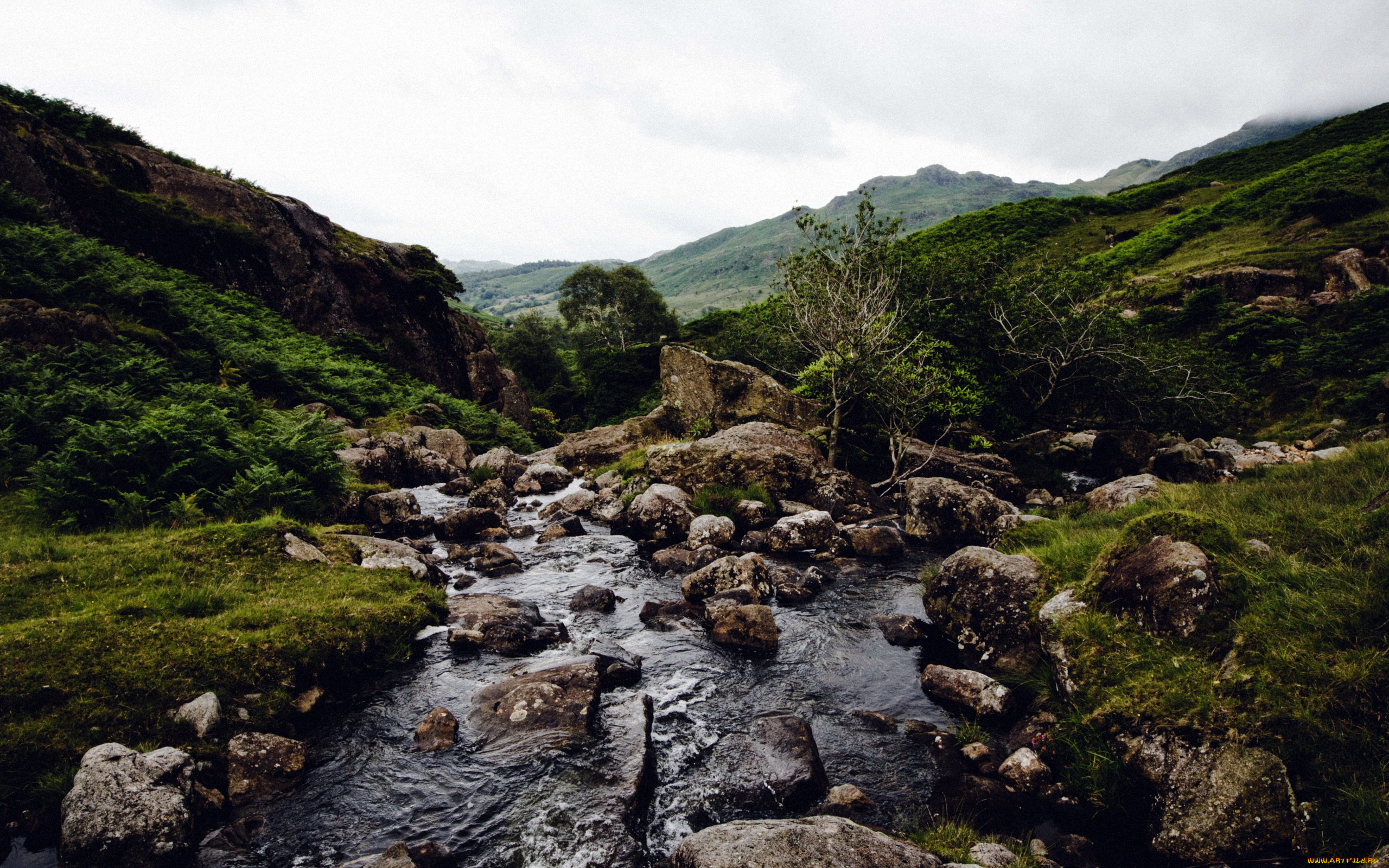 природа, реки, озера, ручей, камни