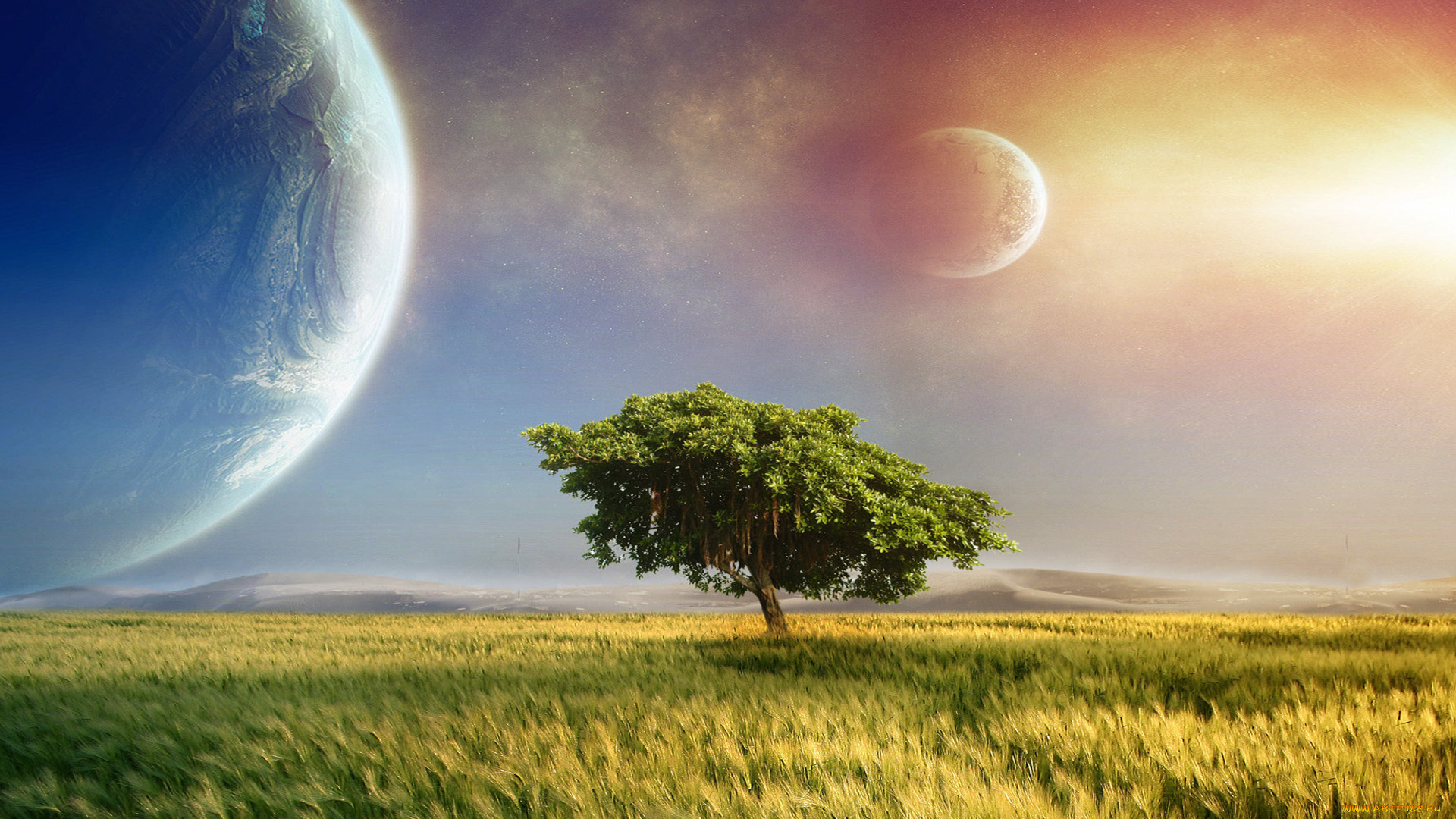 разное, компьютерный, дизайн, небо, поле, дерево, планеты