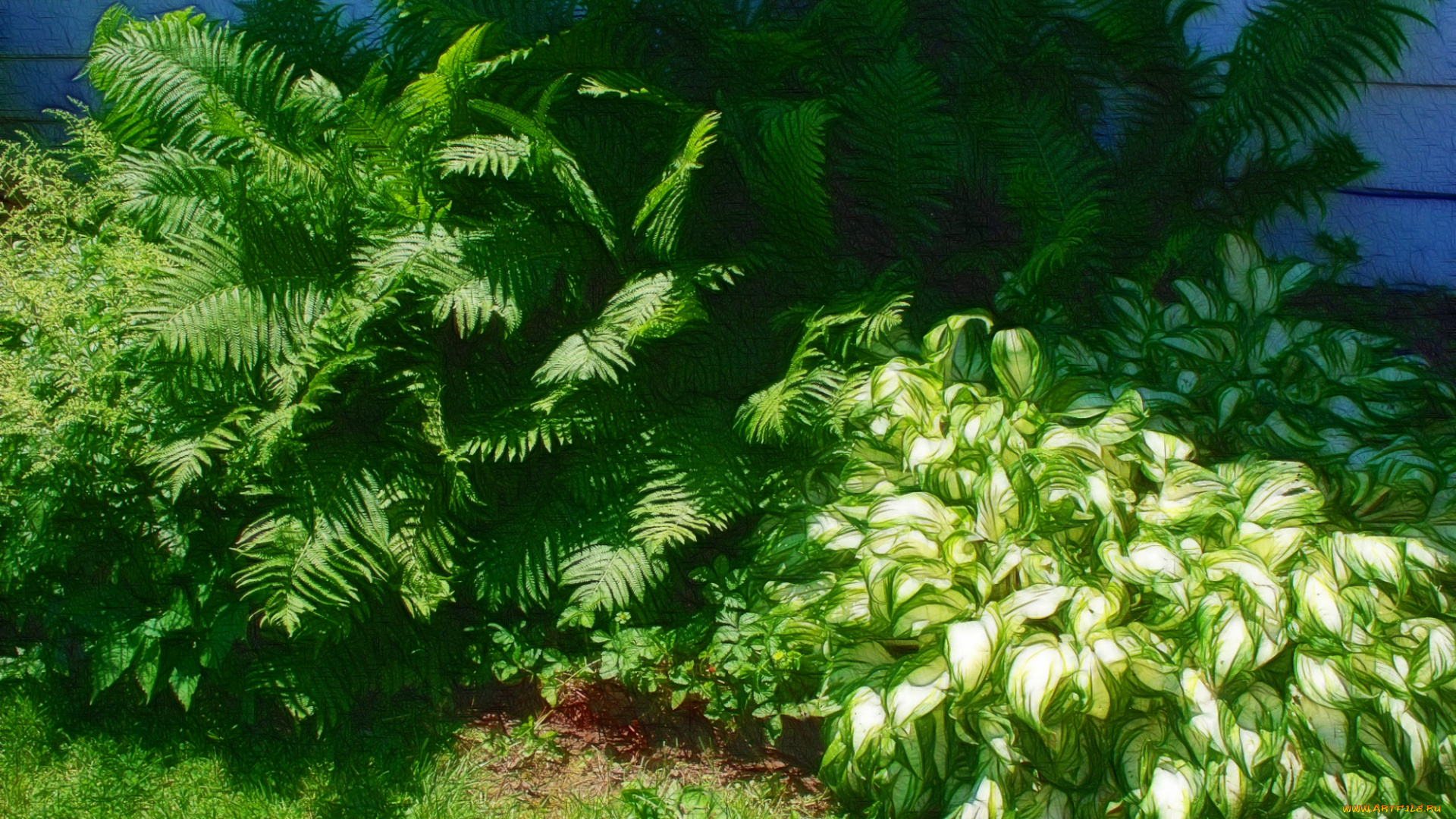 разное, компьютерный, дизайн, трава