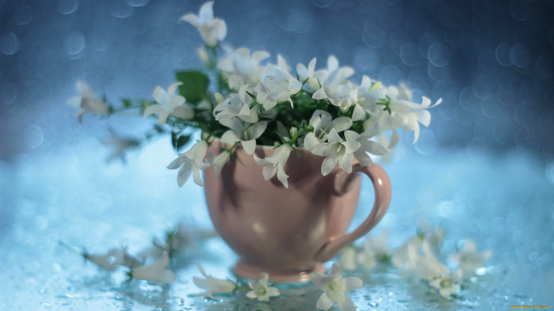 цветы, колокольчики, чашка, капли, белые