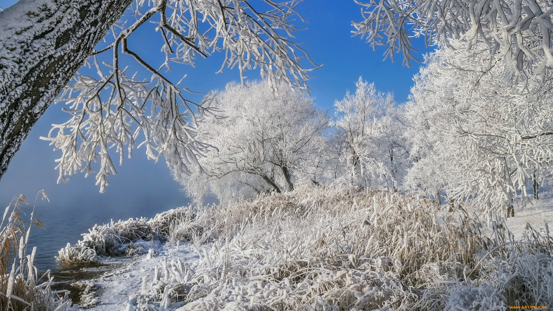 природа, зима, снег, сугробы