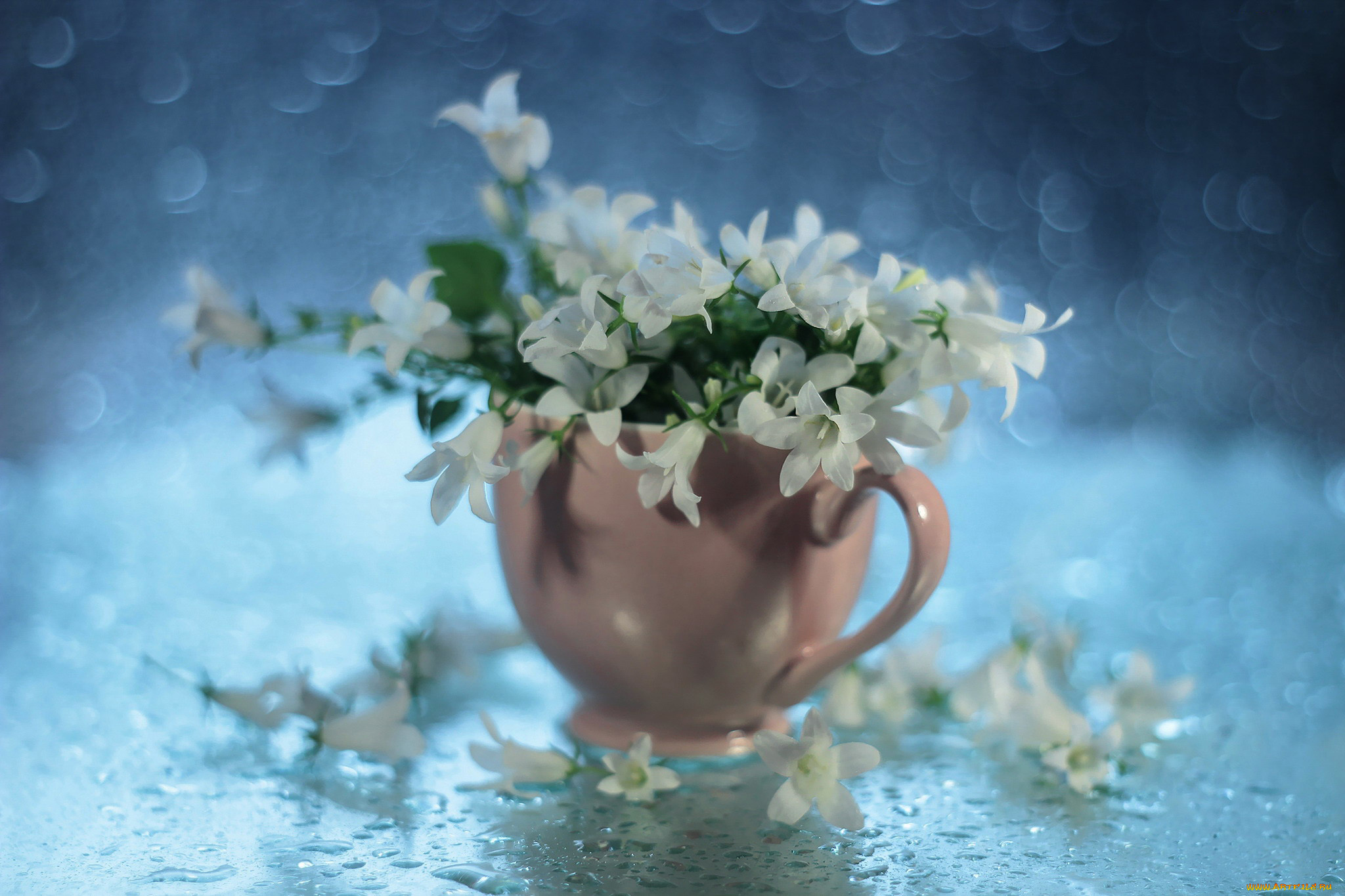 цветы, колокольчики, чашка, капли, белые