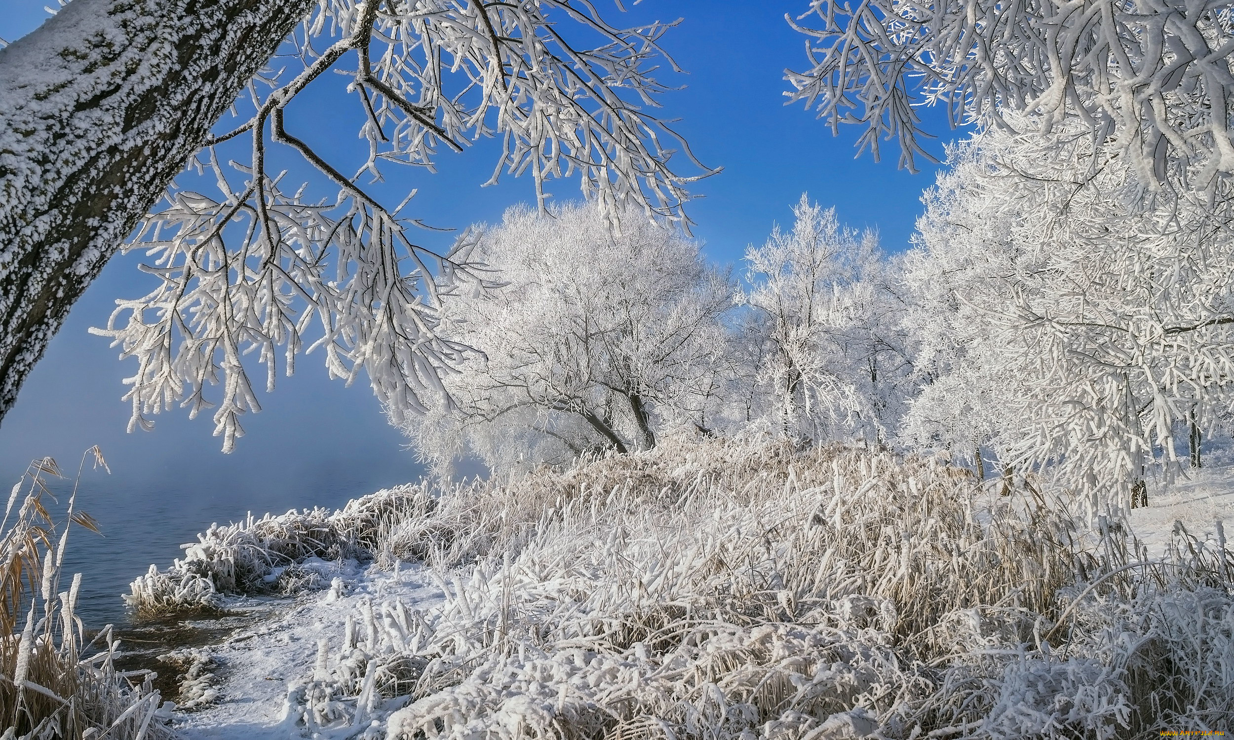 природа, зима, снег, сугробы
