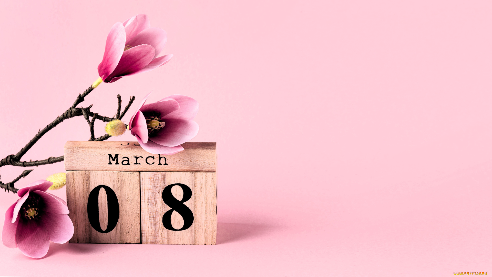 праздничные, международный, женский, день, -, 8, марта, ветка, цветы, кубики, дата
