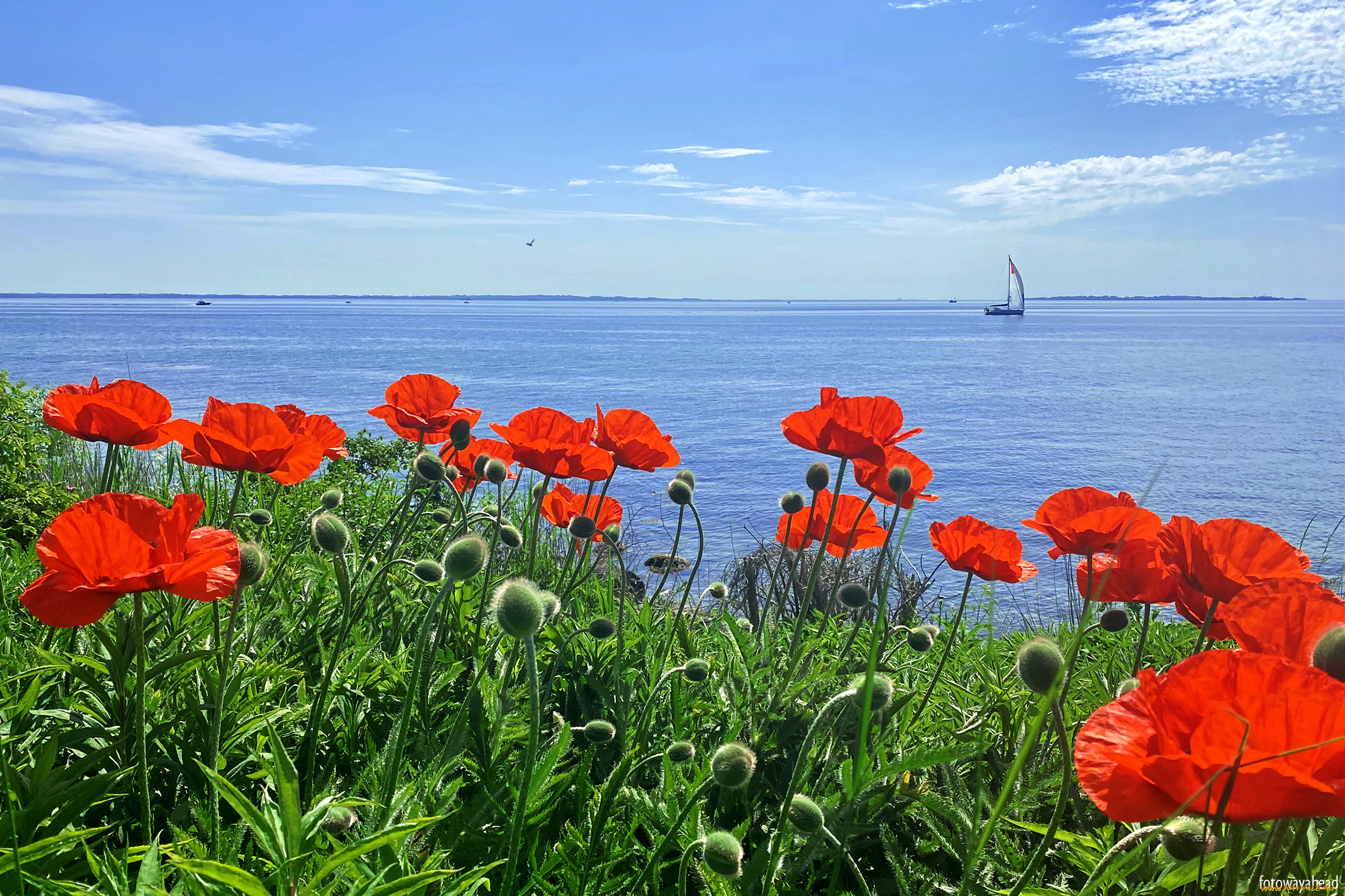 корабли, парусники, пейзаж