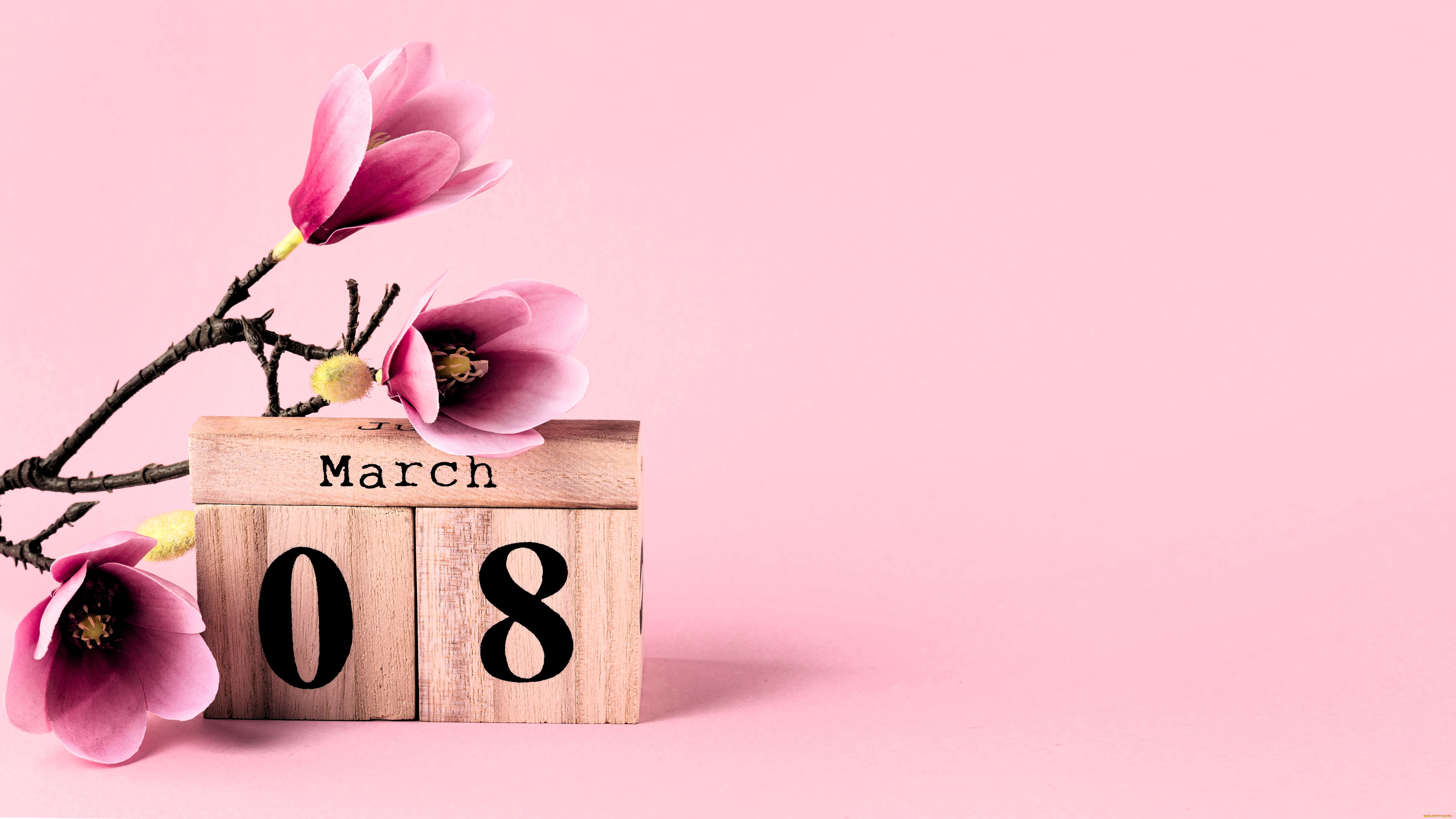 праздничные, международный, женский, день, -, 8, марта, ветка, цветы, кубики, дата