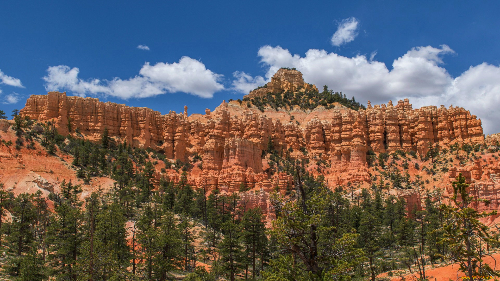 bryce, canyon, national, park, , utah, природа, горы, bryce, canyon, national, park