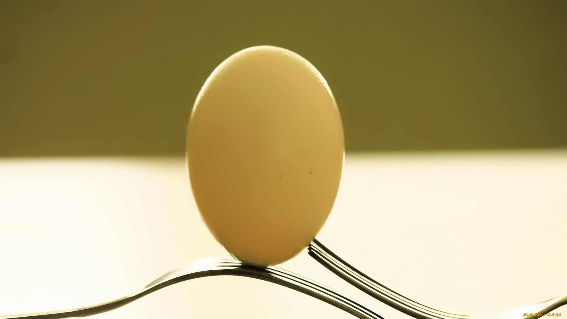 еда, яйца, яйцо, вилки