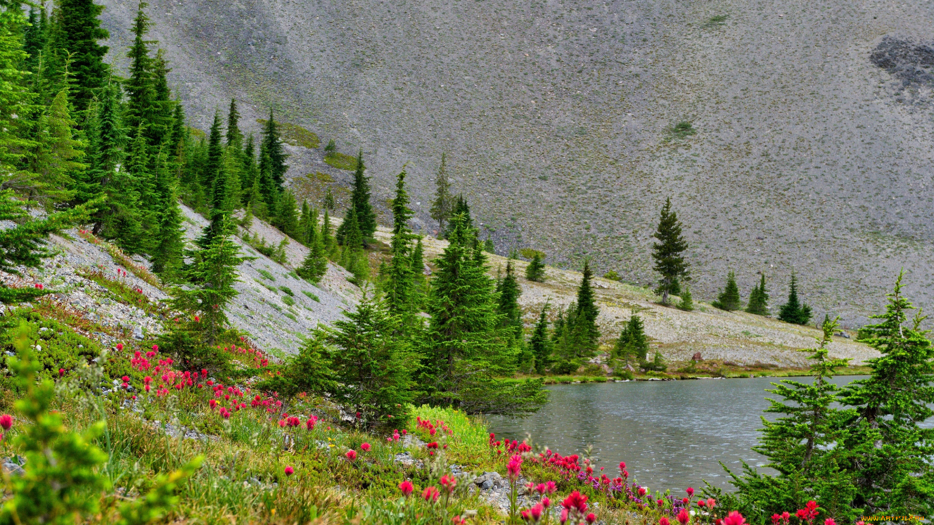 природа, реки, озера, пейзаж