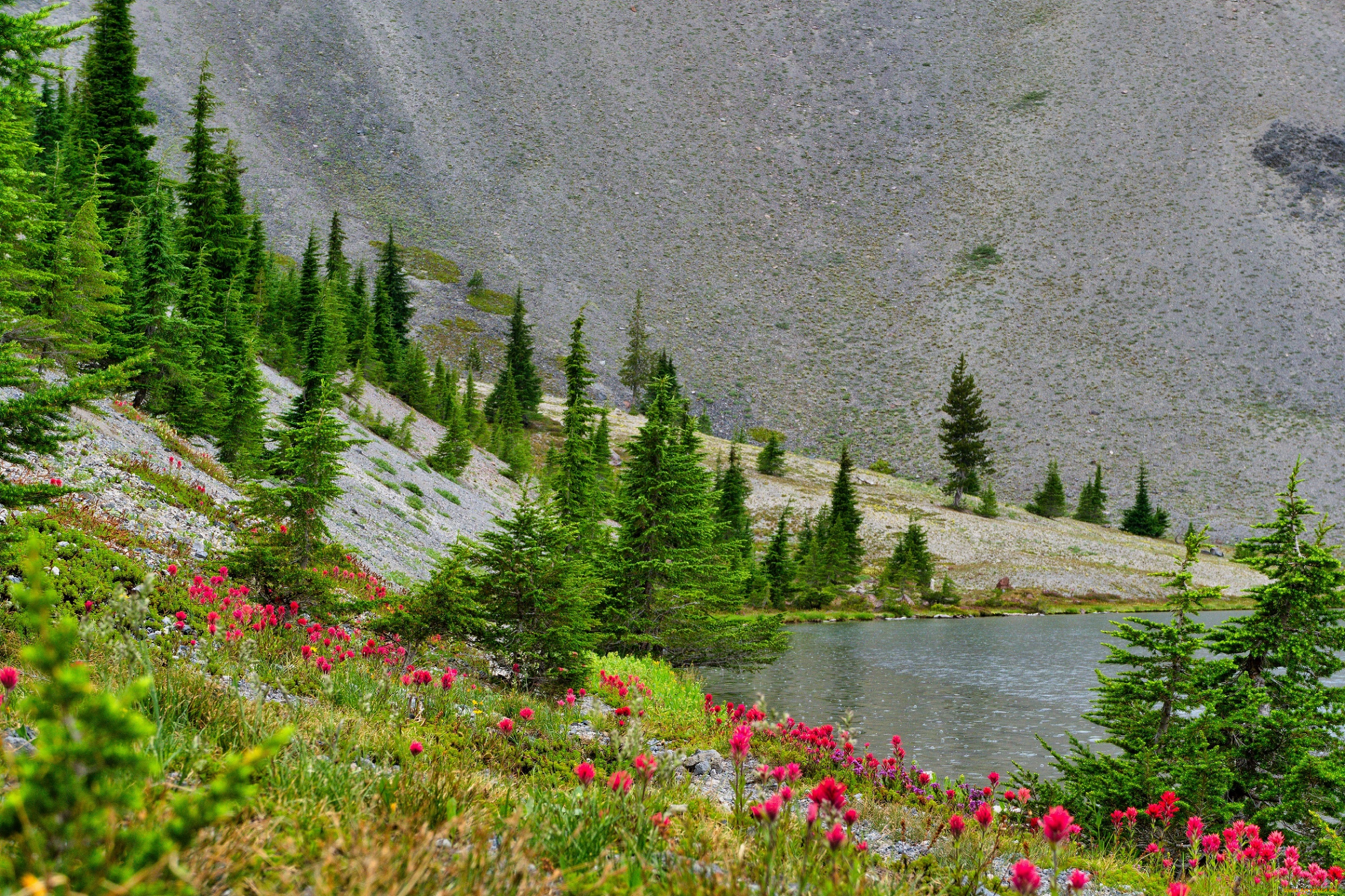 природа, реки, озера, пейзаж