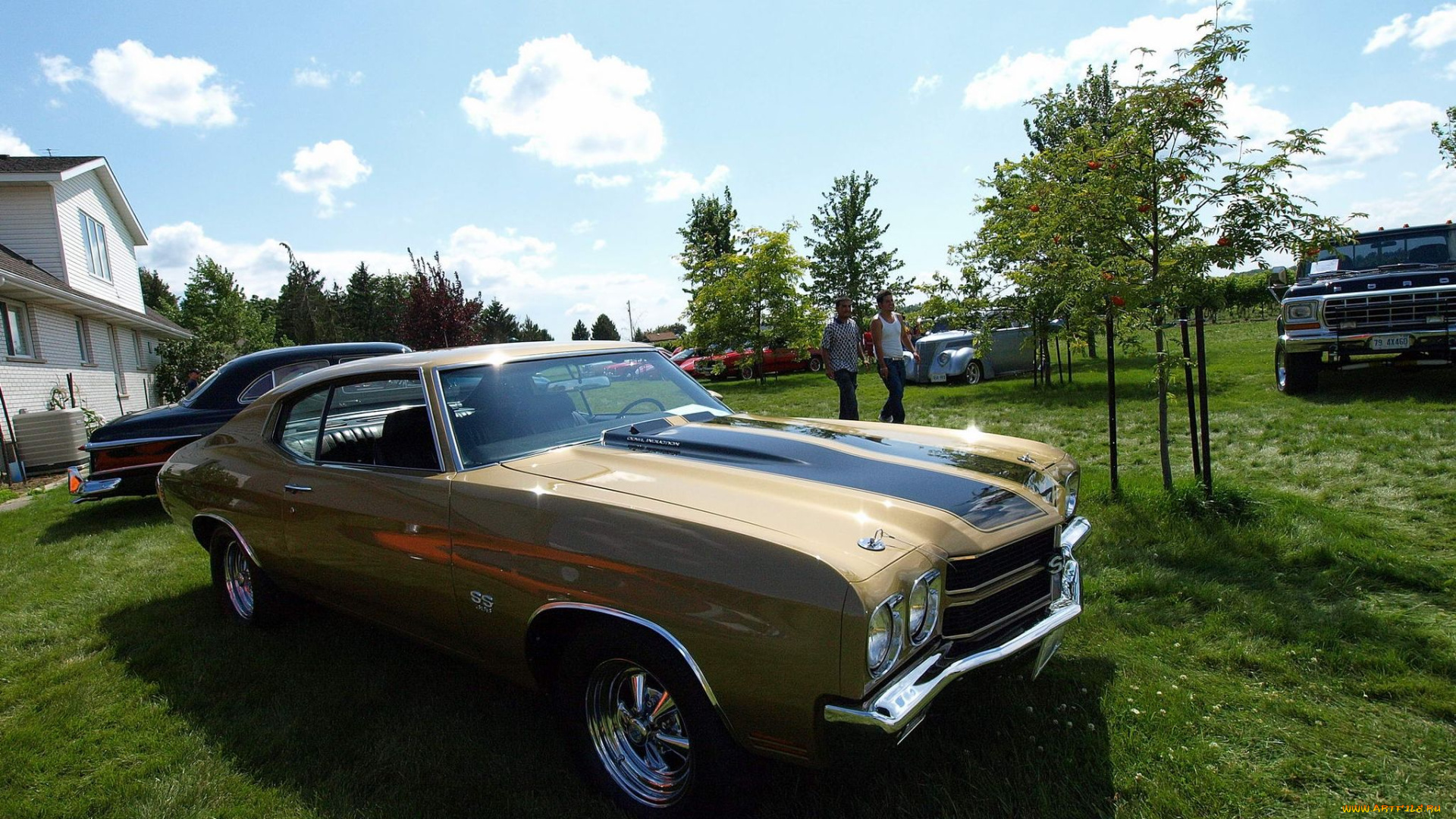 автомобили, выставки, уличные, фото